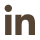 linkedin icon